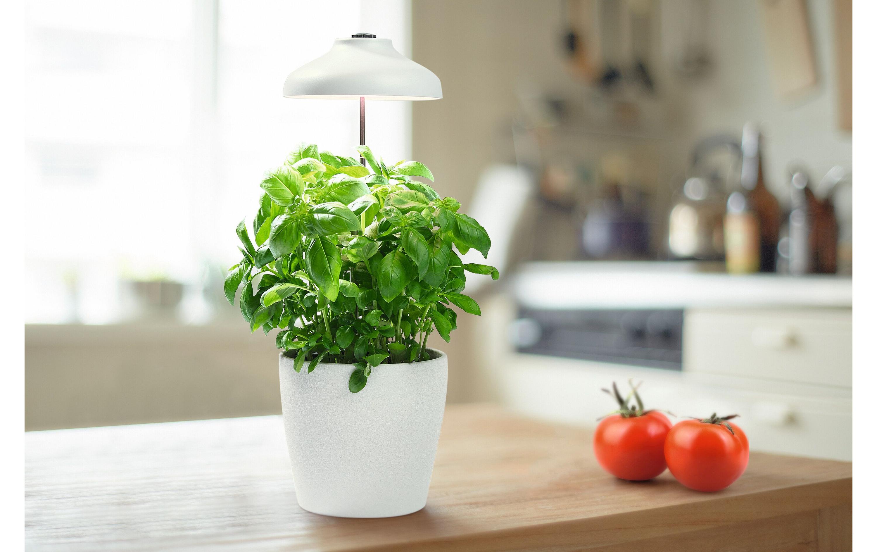 Pflanzenleuchte Indoor Garden Umbrella 200 USB WT, WeissTragbares LED Pflanzenlicht USB betrieben