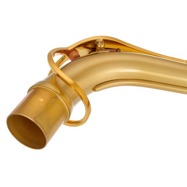 Selmer S-Neck Alto Supreme Matt