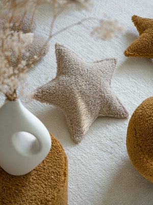 Wigiwama Star Pute, Biscuit
