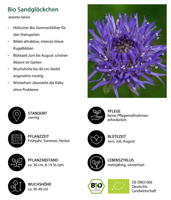 Bio Sandglöckchen
