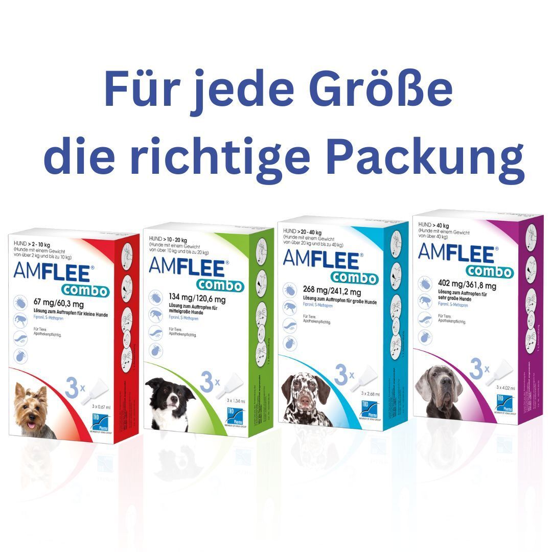 Amflee® combo 402 mg/361,8 mg für sehr große Hunde