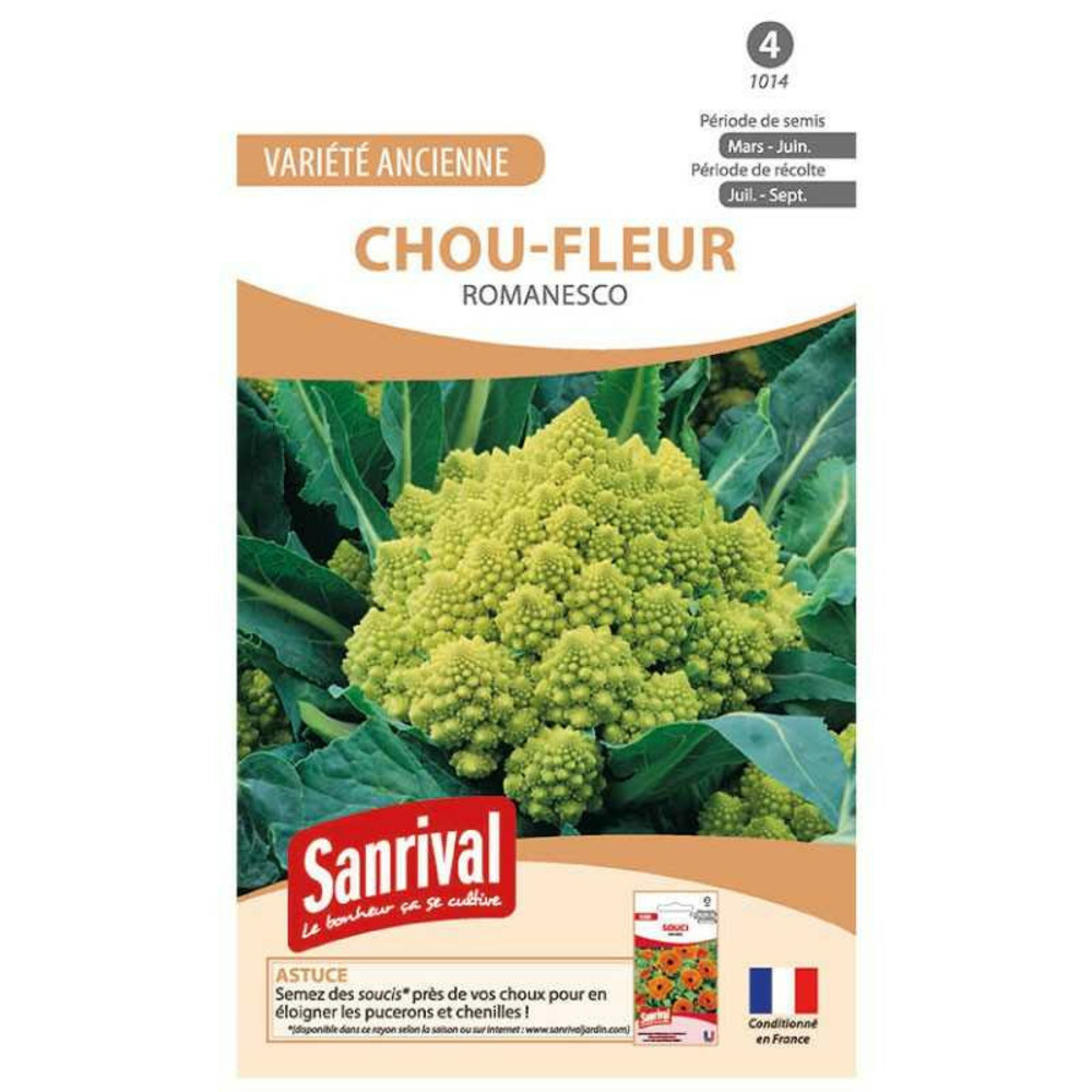 Graines chou romanesco