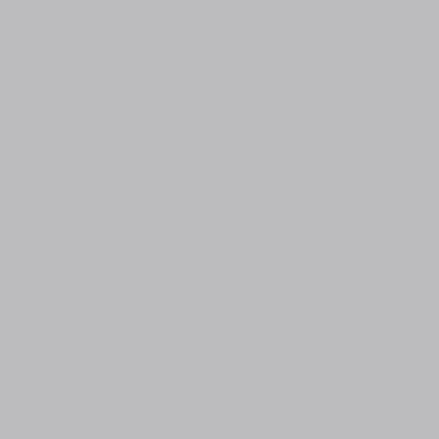 Peinture extérieure bois premium platine satin Tollens 2L