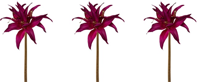 Creativ green Winterliche Kunstpflanze »Weihnachtsdeko« tolle Kombi: purple mit goldfarben, 3er-Set