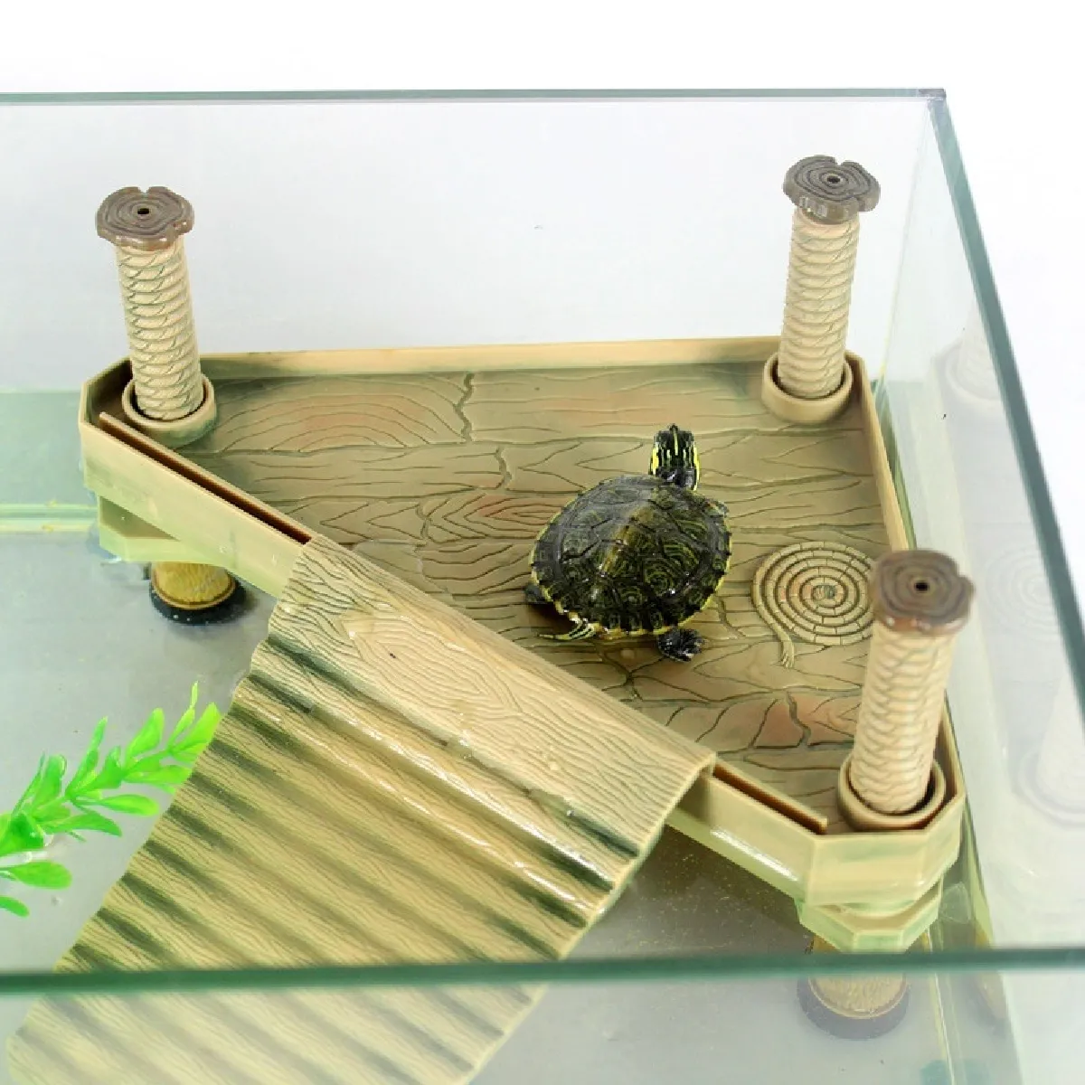 Universal Quai Tortues - Flottante Avec Rampe