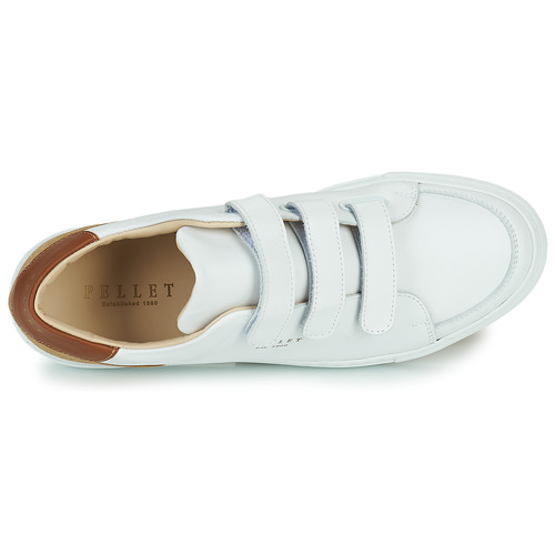 Pellet - SID - VEAU BLANC