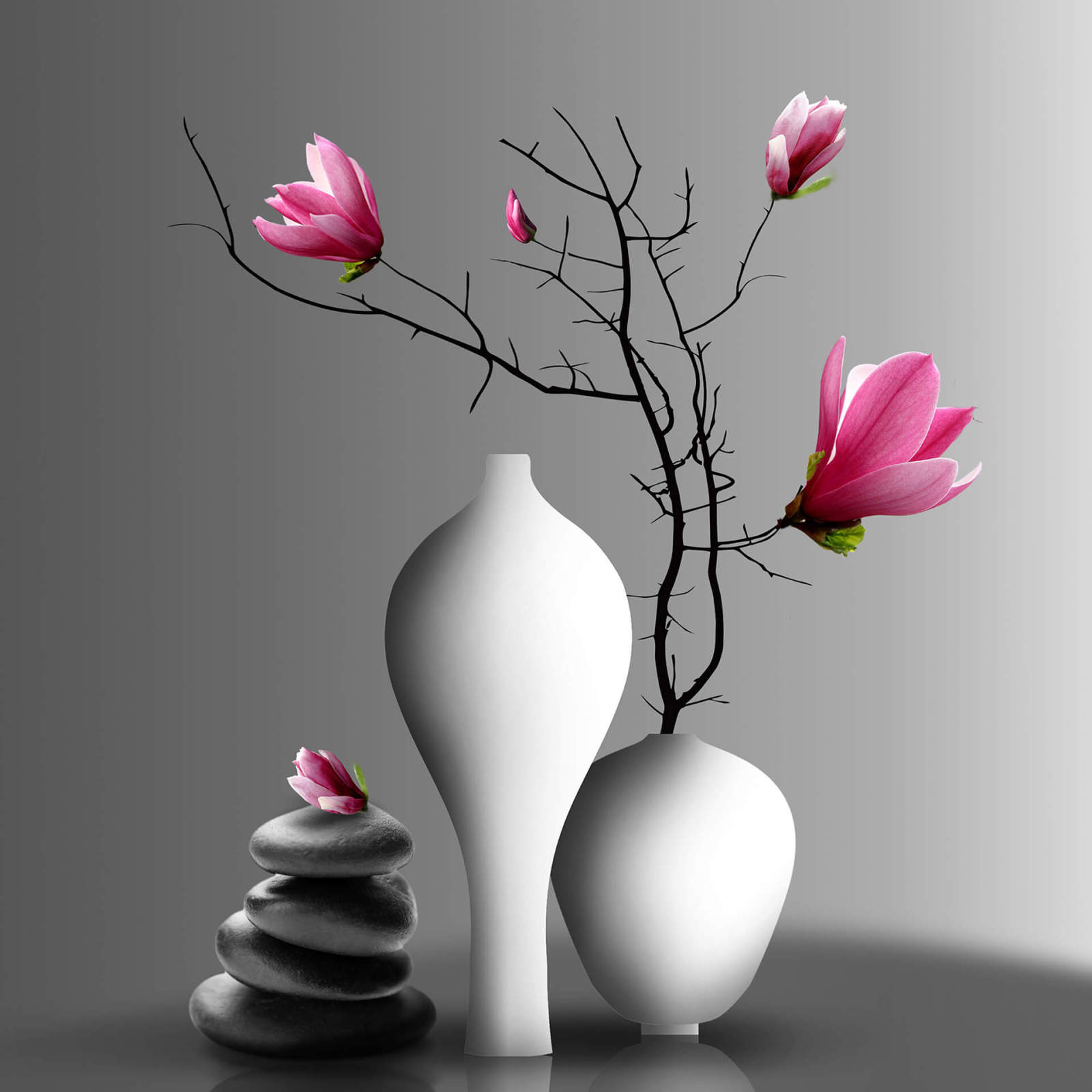 Leinwandbild MAGNOLIE IN VASE - pink-grau - 50x50 cm