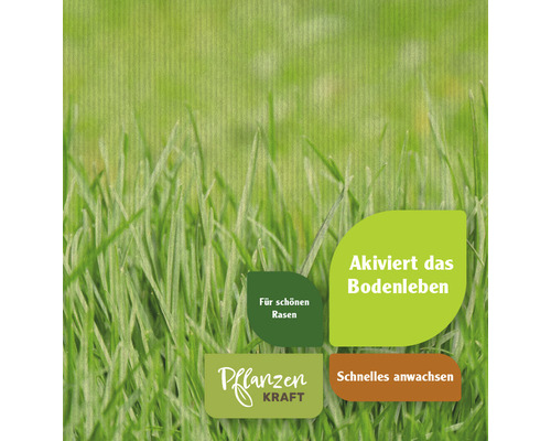 Gazonversterker FloraSelf Select Lawn Bliss 2,5 kg / 250 m²
