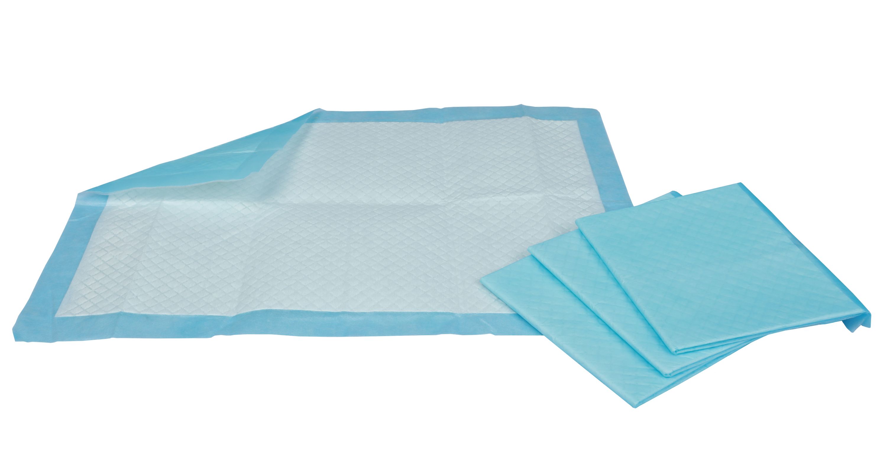 Welpen Trainingsunterlage 45 x 33 cm 100 Stk. blau