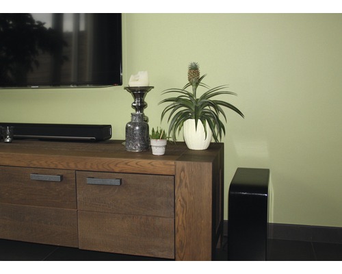 FloraSelf Ananas x Hybride H 45-55 cm Ø 12 cm pot