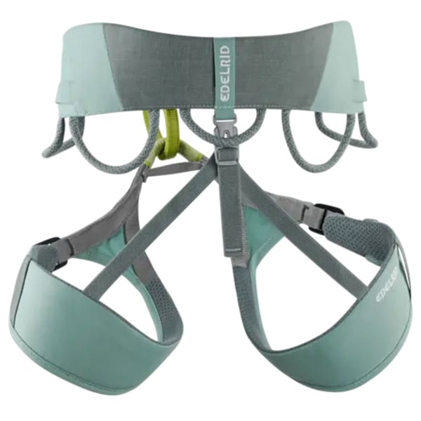 Baudrier escalade EDELRID JAYNE IV DOLPHIN