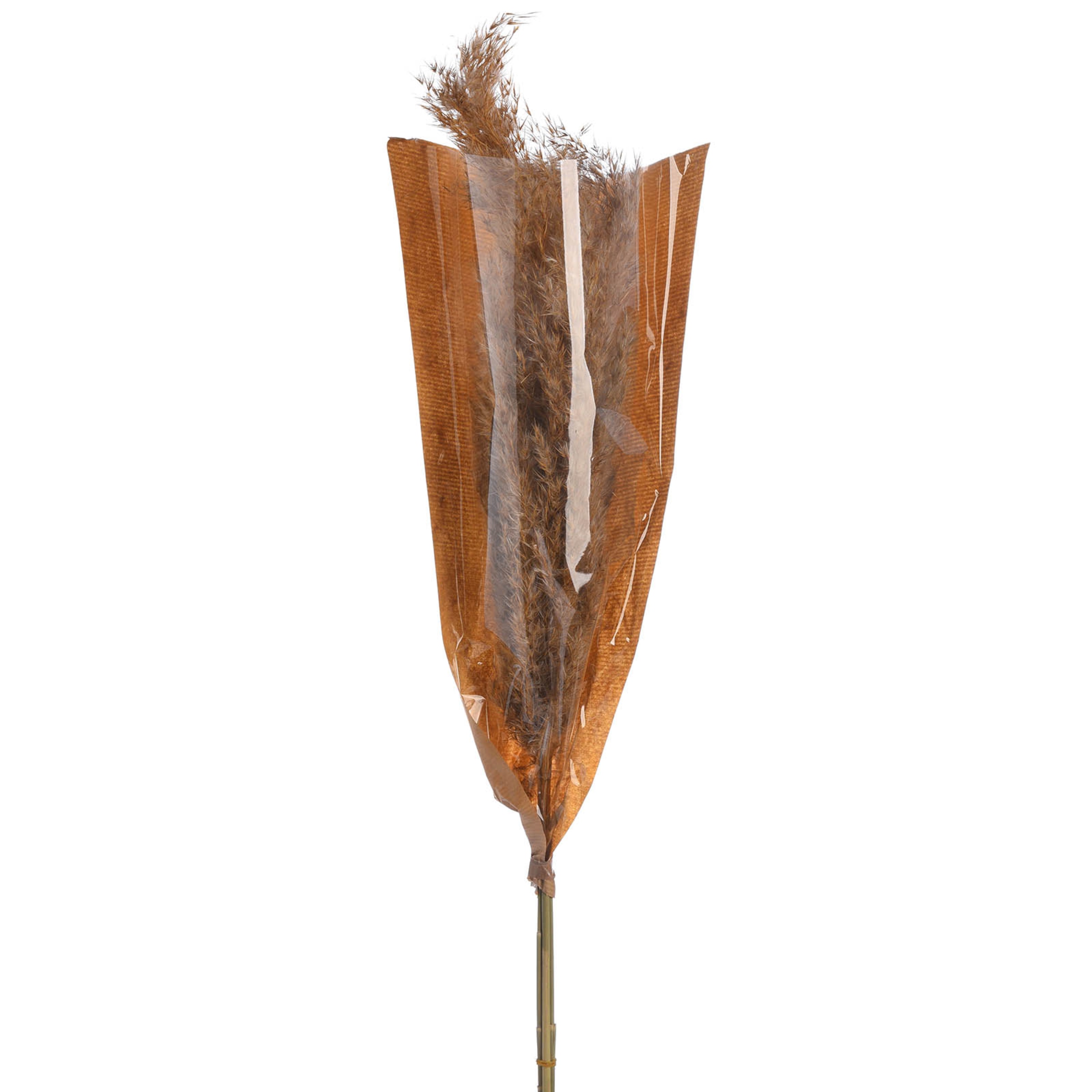 natur, L 70 cm