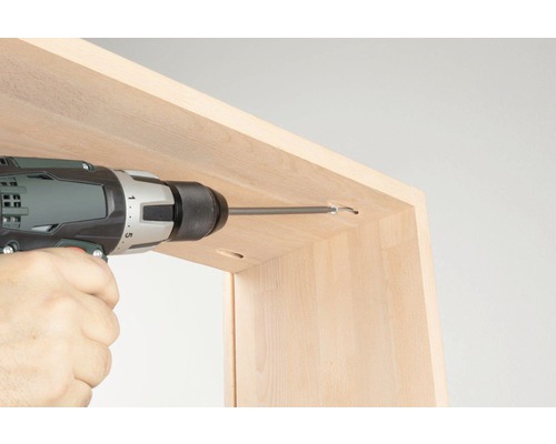 WOLFCRAFT Boorhulp voor verborgen houtschroeven Torx, 55 stuks