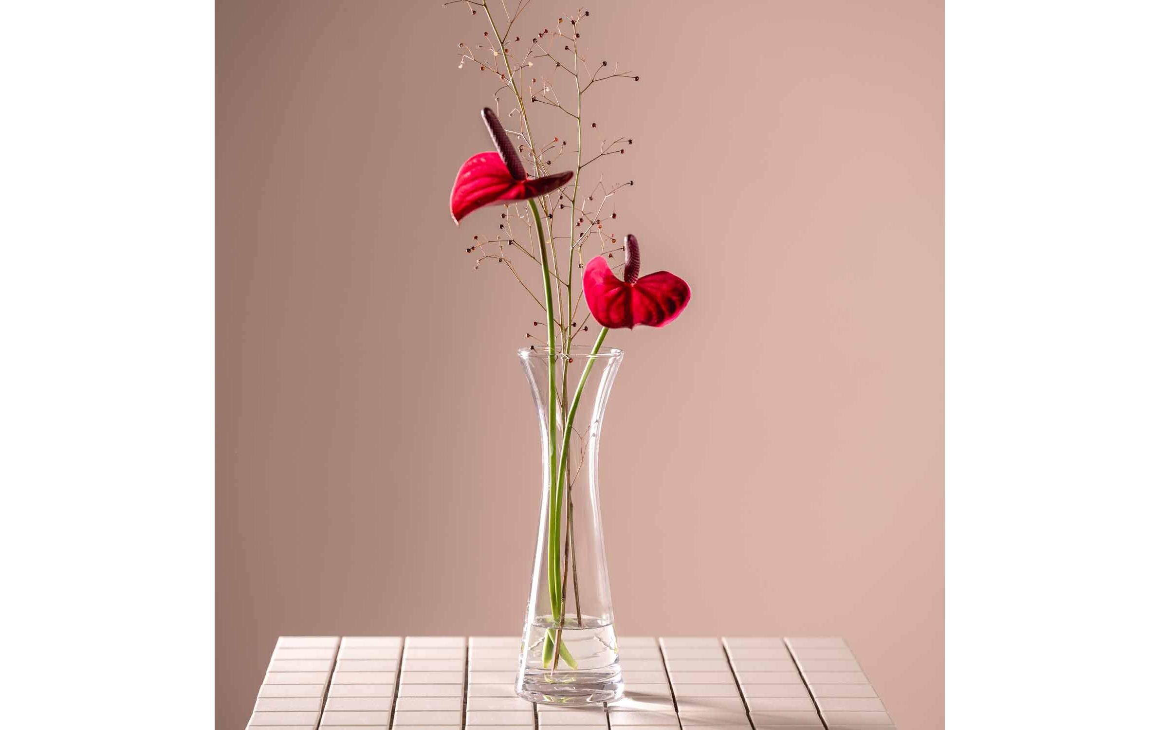 Vase Gia 26 cm, TransparentSolifleurvase