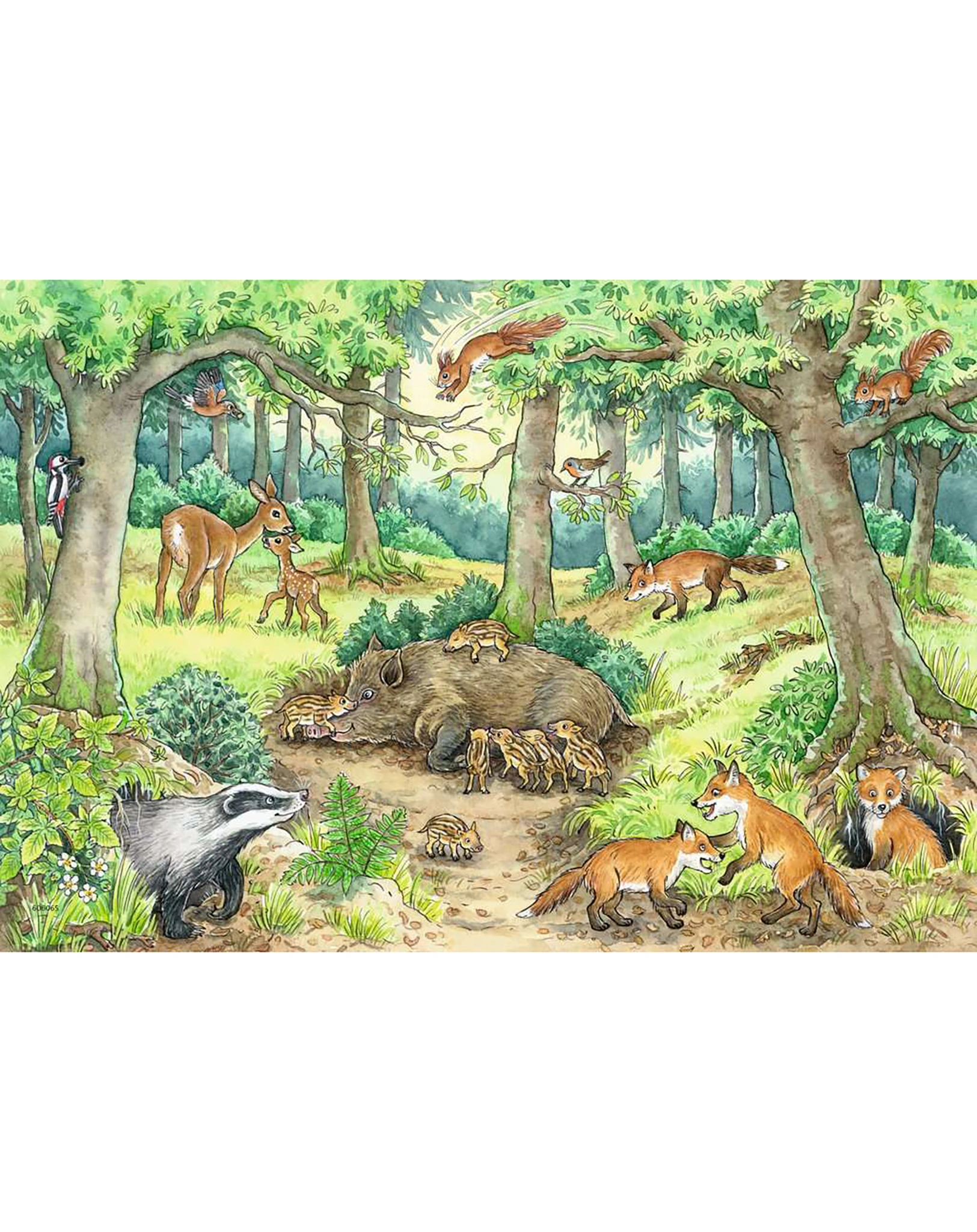 Puzzle WIESO? WESHALB? WARUM? - TIERE IM WALD UND AUF DER WIESE 2x12-teilig