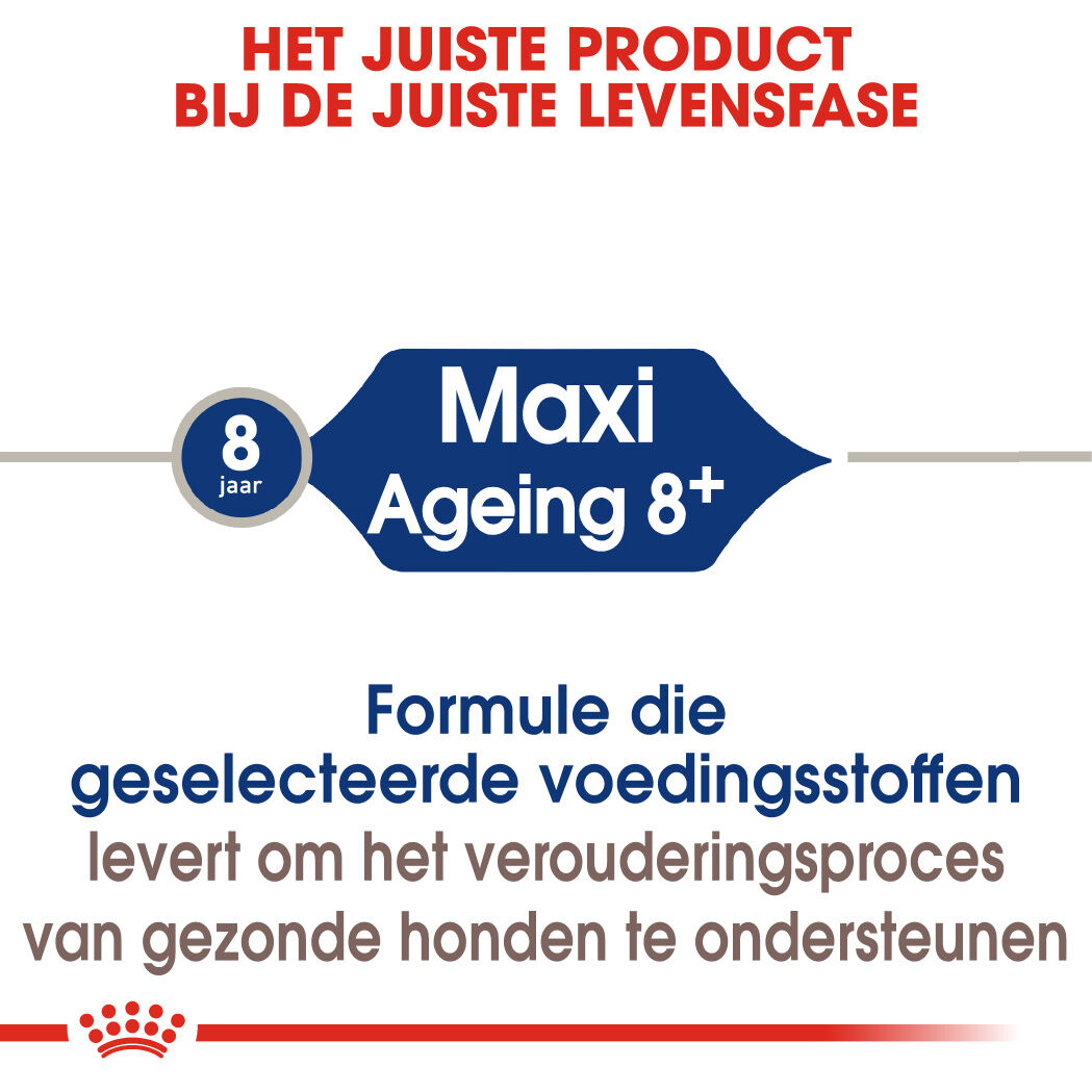 Royal Canin Maxi Ageing 8  - Hondenvoer - 3 Kilogram - gevogelte