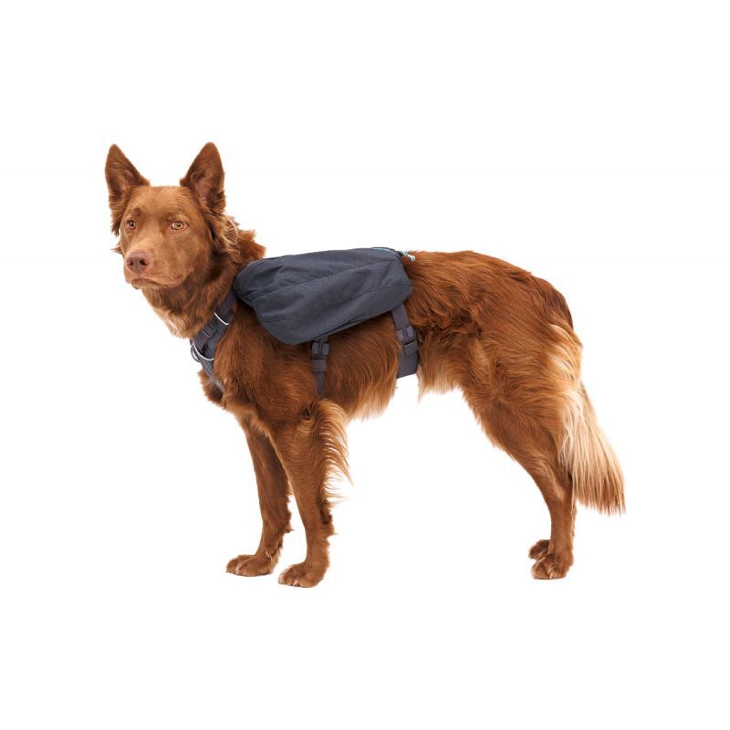 Front Range Day Pack - Sac à dos pour chien randonnée