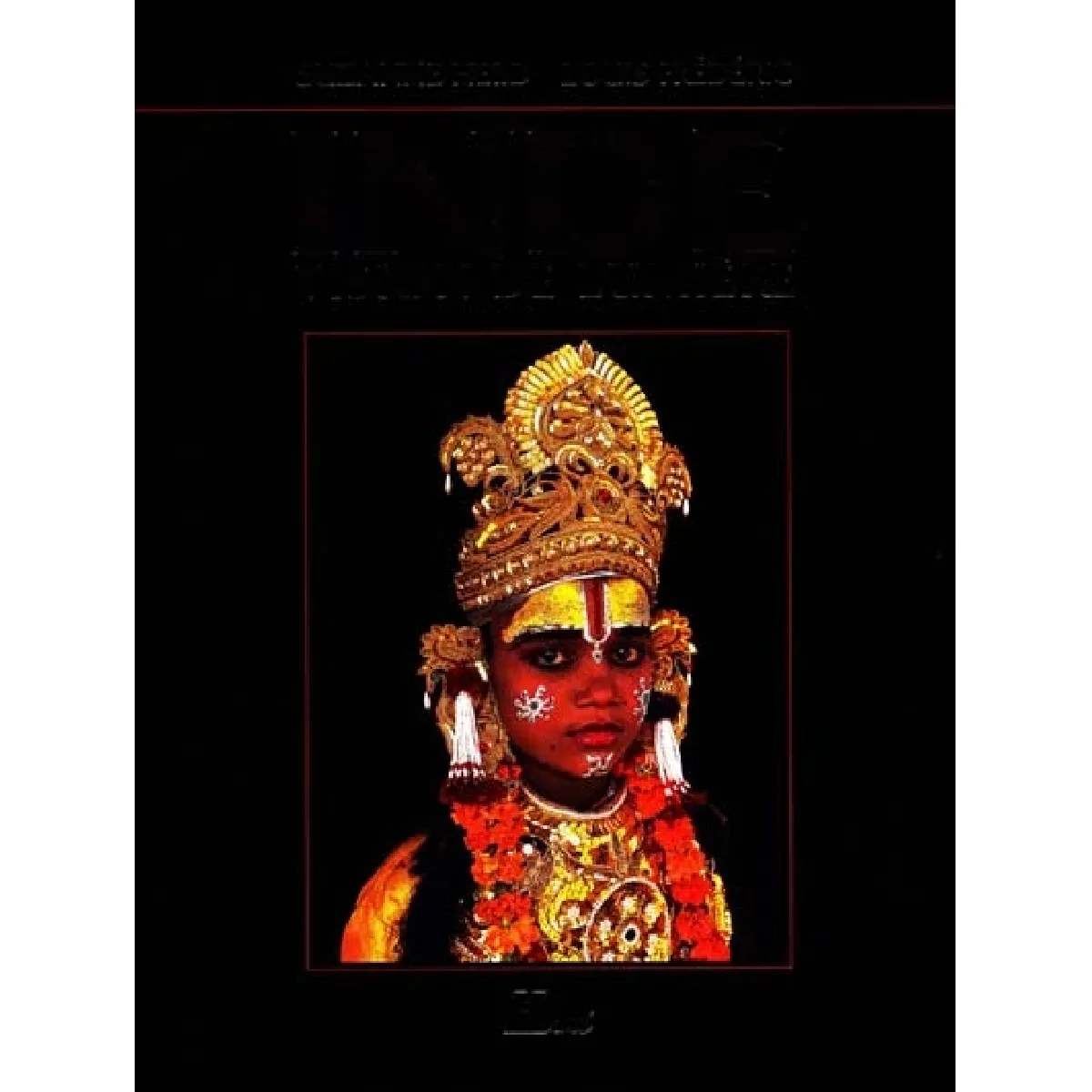 Inde : vision de lumière · Occasion
