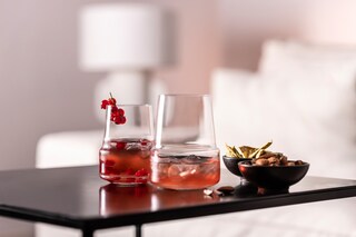 ZWIESEL GLAS Rotwein Tumbler LEVEL 2er Set 550 ml
