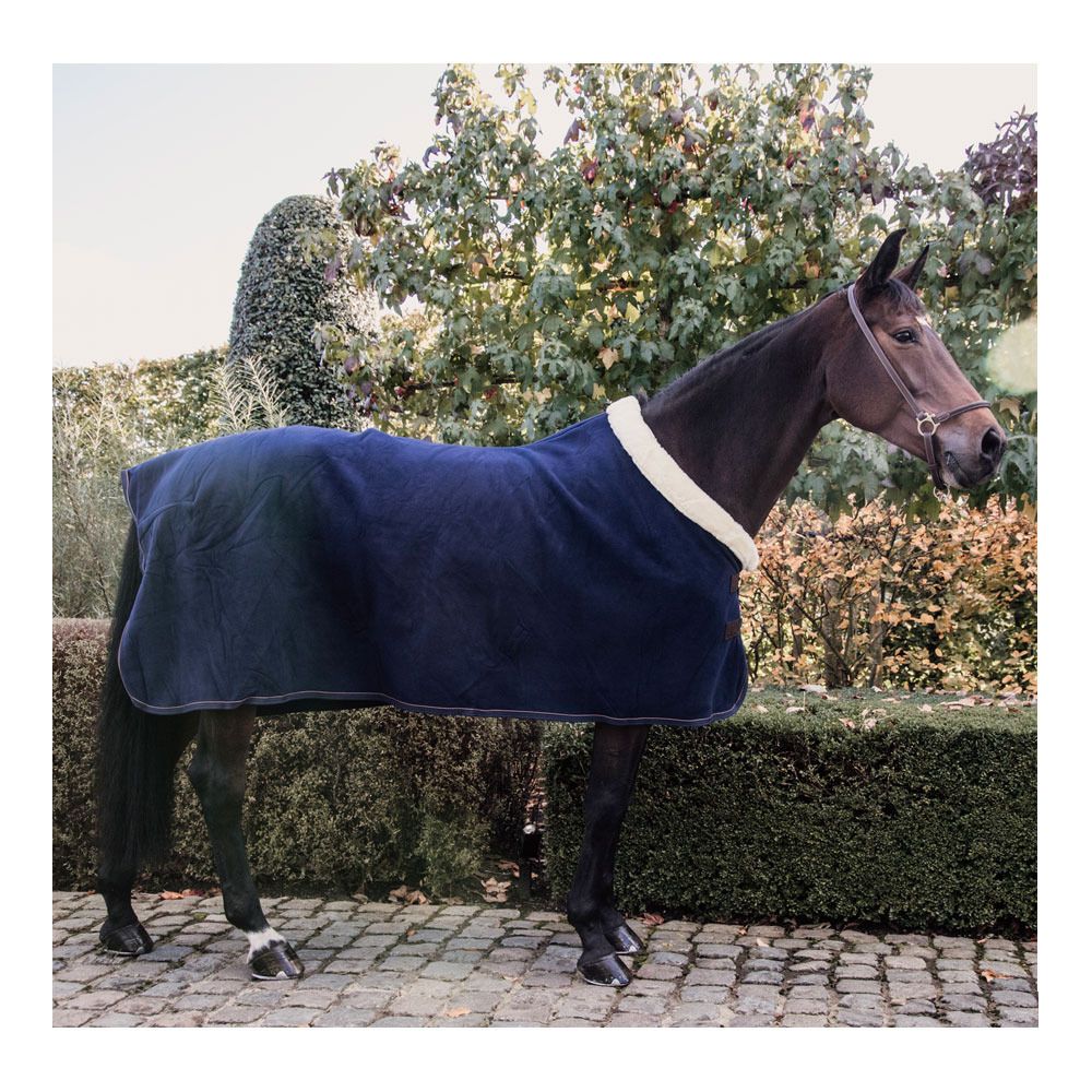 Kentucky SHOW HEAVY - Chemise séchante navy