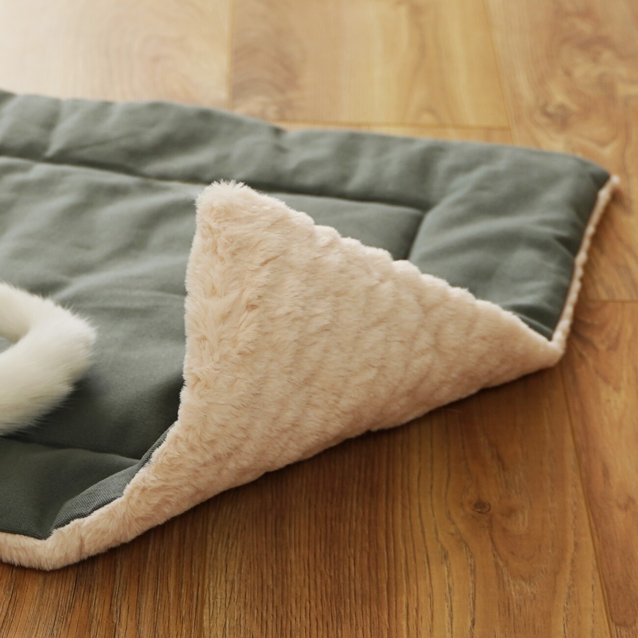 Schlitzohr Katzendecke Hundedecke Minka