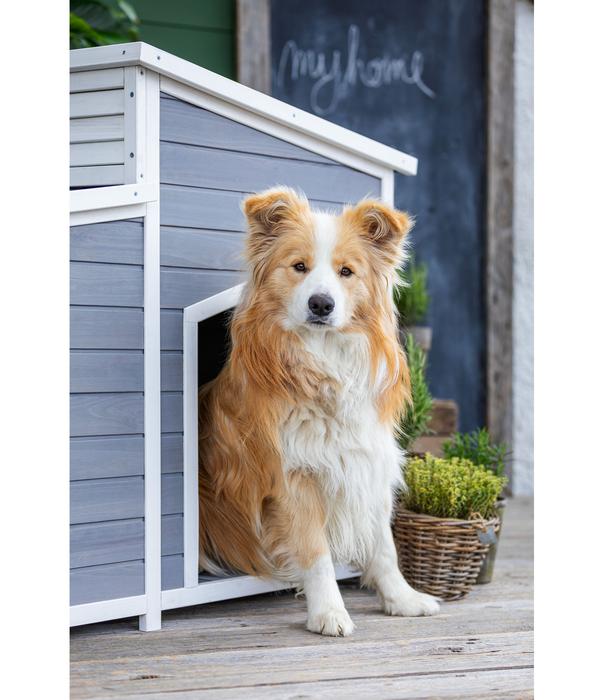 Dehner Lieblinge Hundehütte Balu, ca.