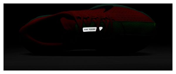 Chaussures Running Nike Pegasus Plus Fast Pack Rouge/Vert Femme
