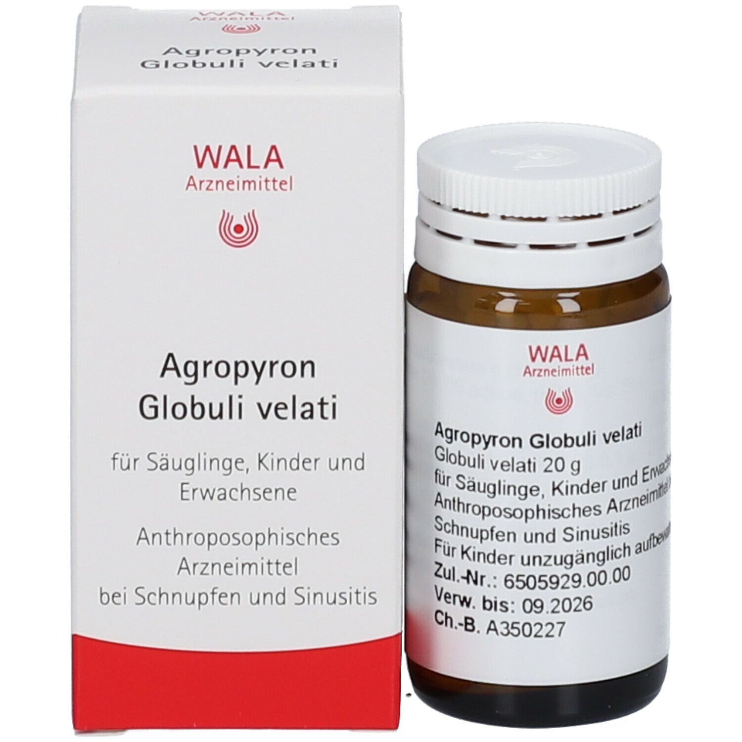 WALA® Agropyron Globuli Velati