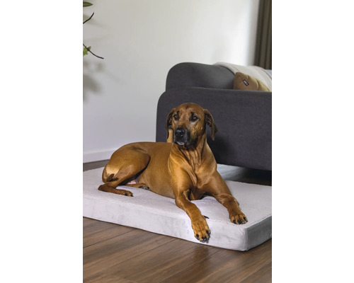 Beeztees Orthopedisch Hondenkussen Zira 100 x 70 cm Lichtgrijs