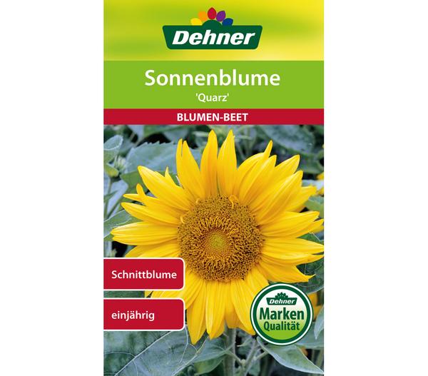 Dehner Samen Sonnenblume 'Quarz'