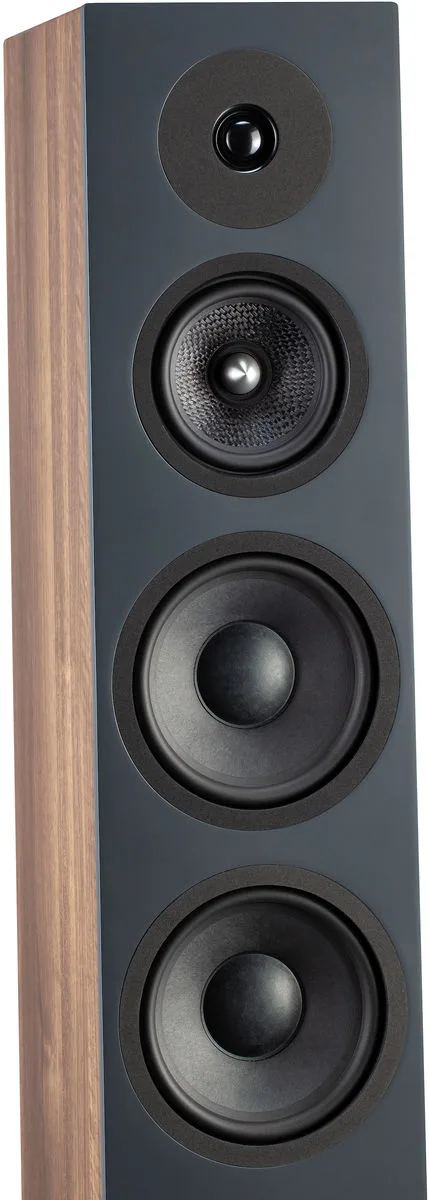 Davis Acoustics Krypton 9 Noyer (la paire) Enceintes colonne