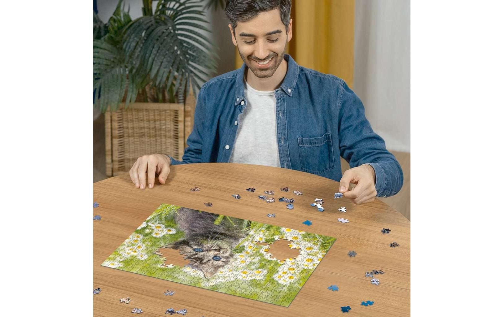 Puzzle Kätzchen in der Wiese 500 TeileKlassisches Puzzlespiel mit Premium-Qualität