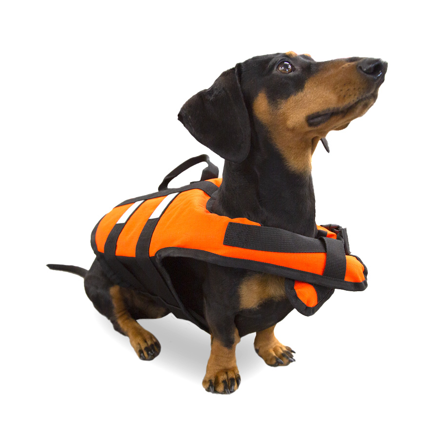 Colete salva-vidas laranja TK-Pet para cães