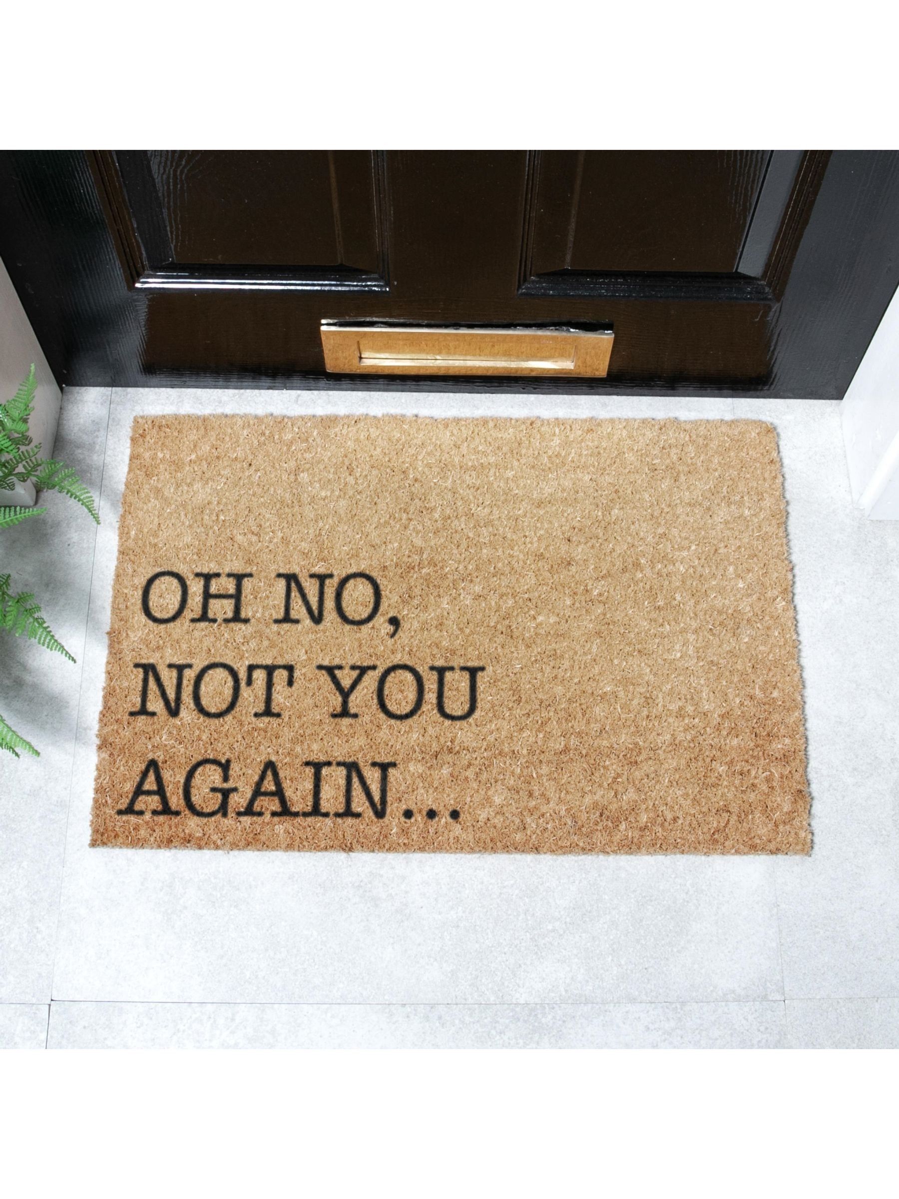 Artsy Mats Oh No Not You Again Doormat