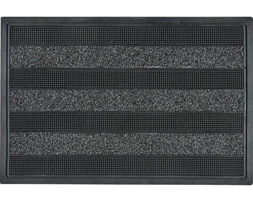 Deurmat, vuilopvangmat, Cactus antraciet, 45x75 cm