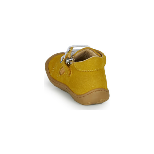 GBB - FREDDO - Jaune