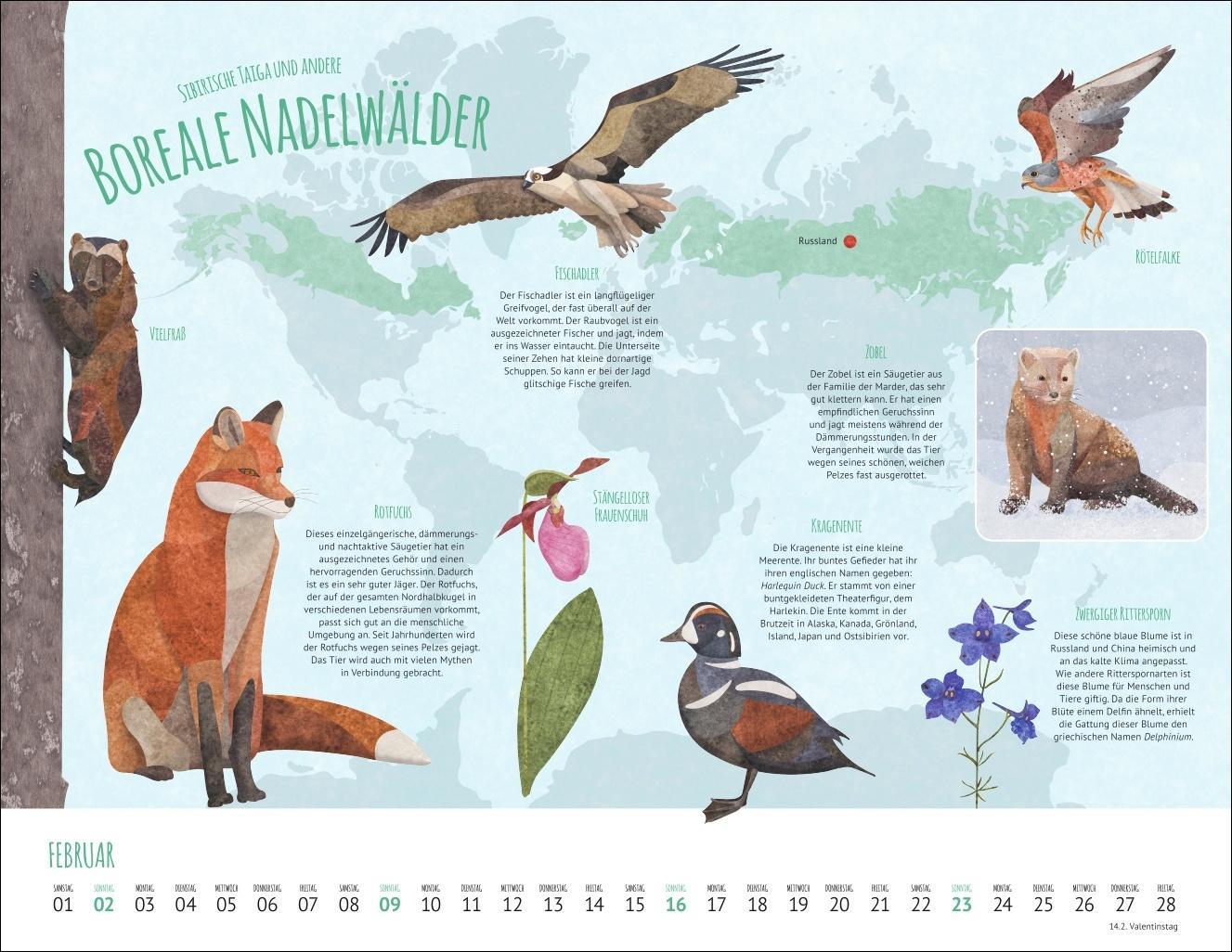 Wo Tiere und Pflanzen zu Hause sind Kalender 2025 - Biome der Welt