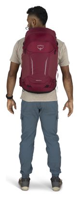 Sac de Randonnée Osprey Hikelite 28L Violet