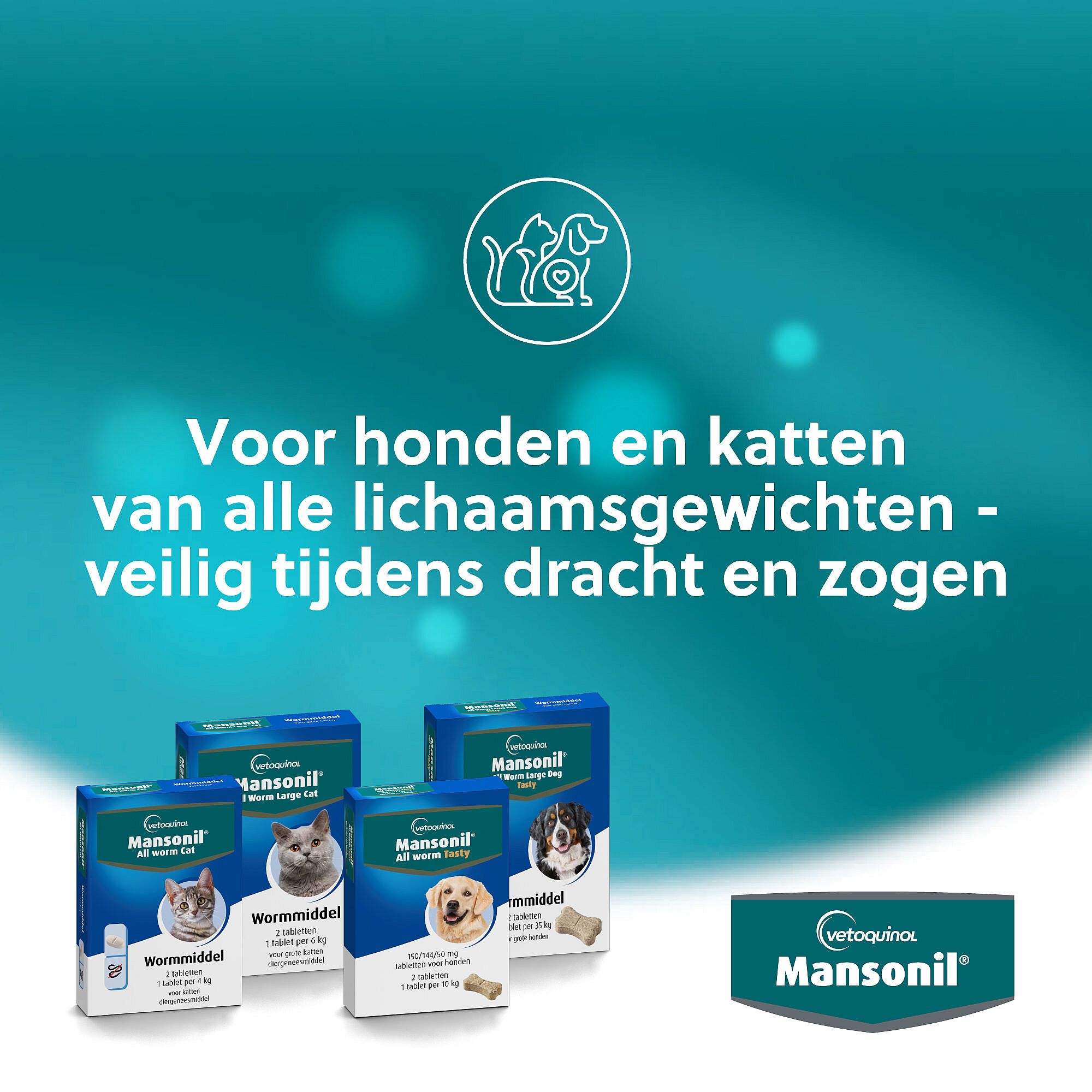 Mansonil All Worm Kat 2 tabletten
