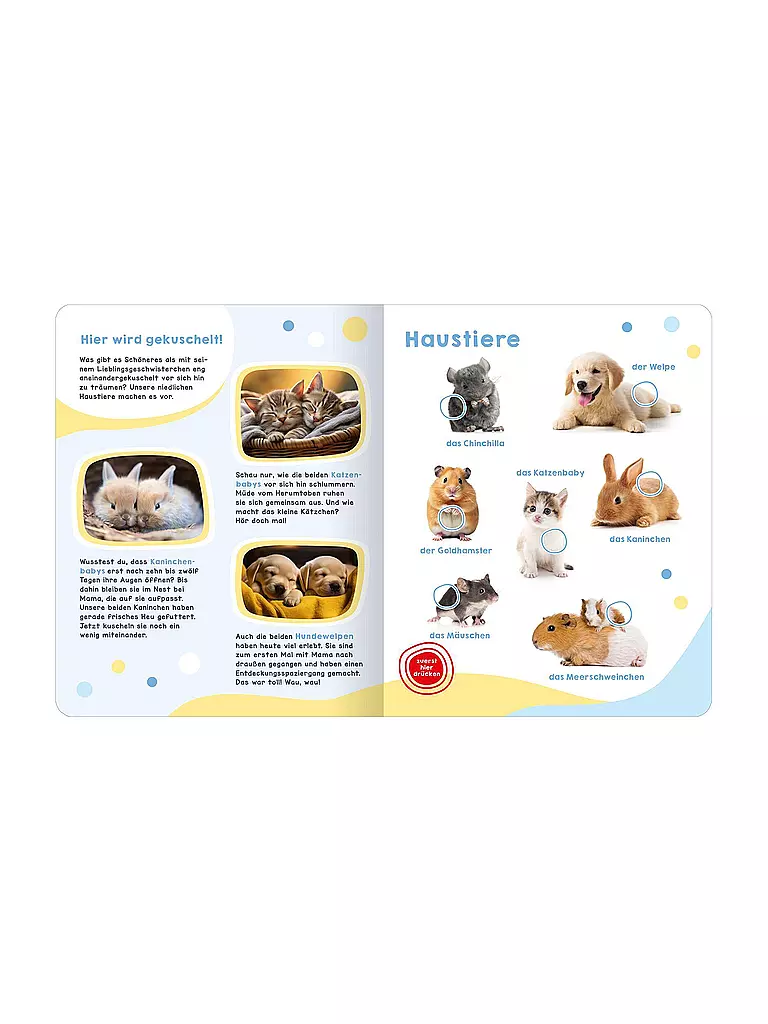 ARS EDITION VERLAG Mein großes Geräuschebuch - Tierbabys keine Farbe