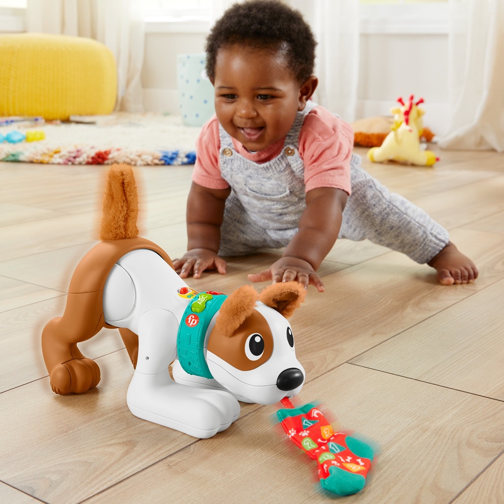 Fisher-Price 123 Krabbel-mit-mir-Welpe-Babyspielzeug