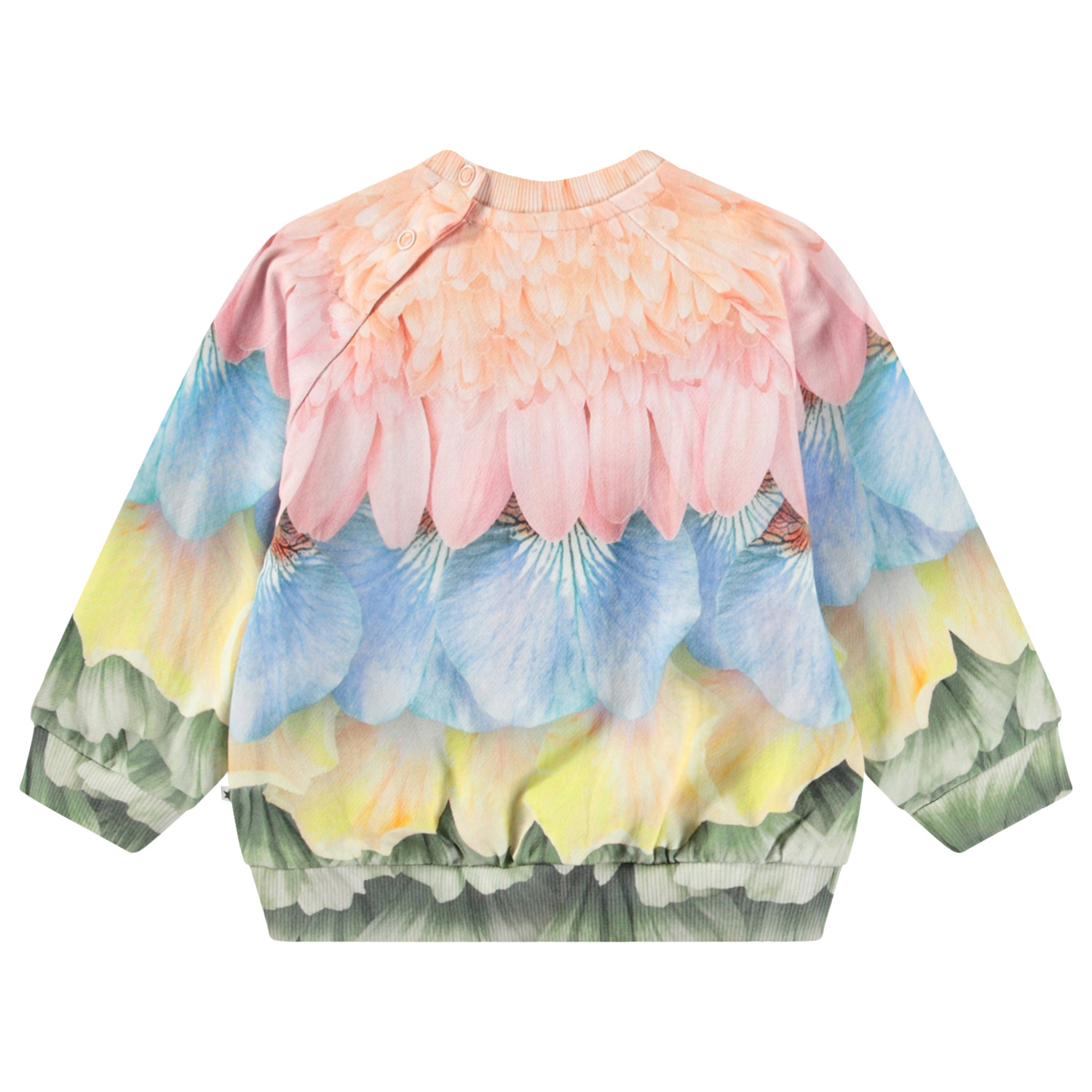 Disc - Petal Rainbow