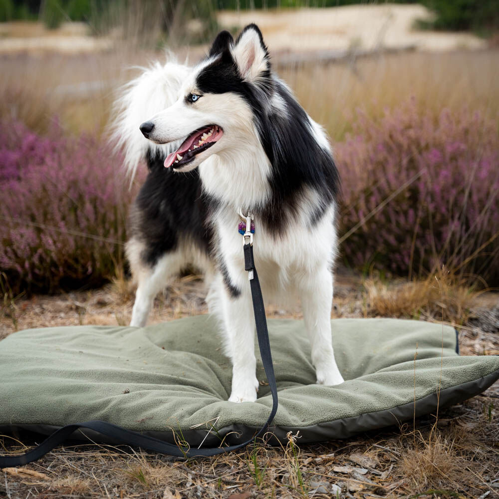 District 70 LODGE - Benchmat - antraciet - 6x71x107 cm - L