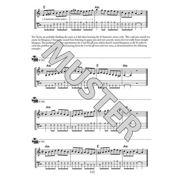 Mel Bay The Mandolin Picker`s Guide