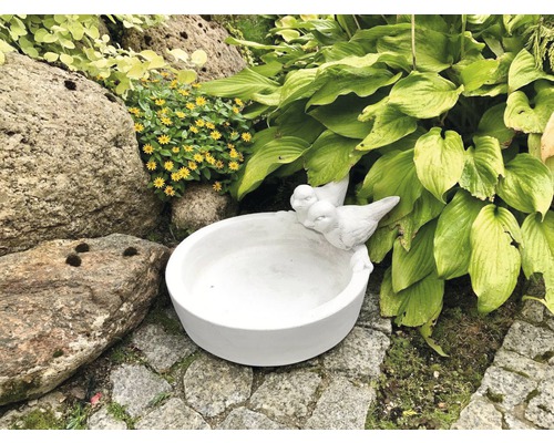 Betonnen vogelbad 30 x 35 x 14,5 cm wit