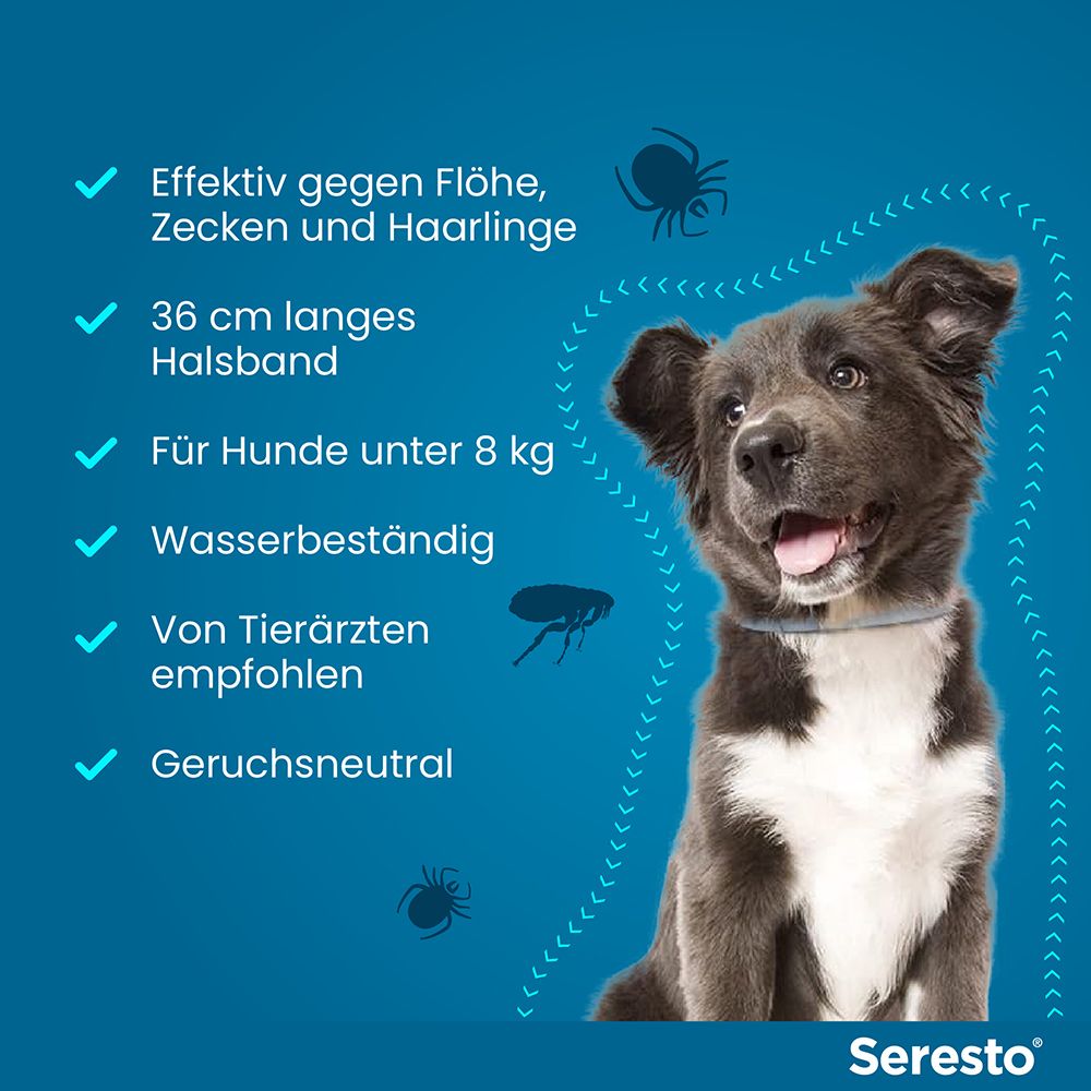 Seresto® Halsband für kleine Hunde bis 8 kg