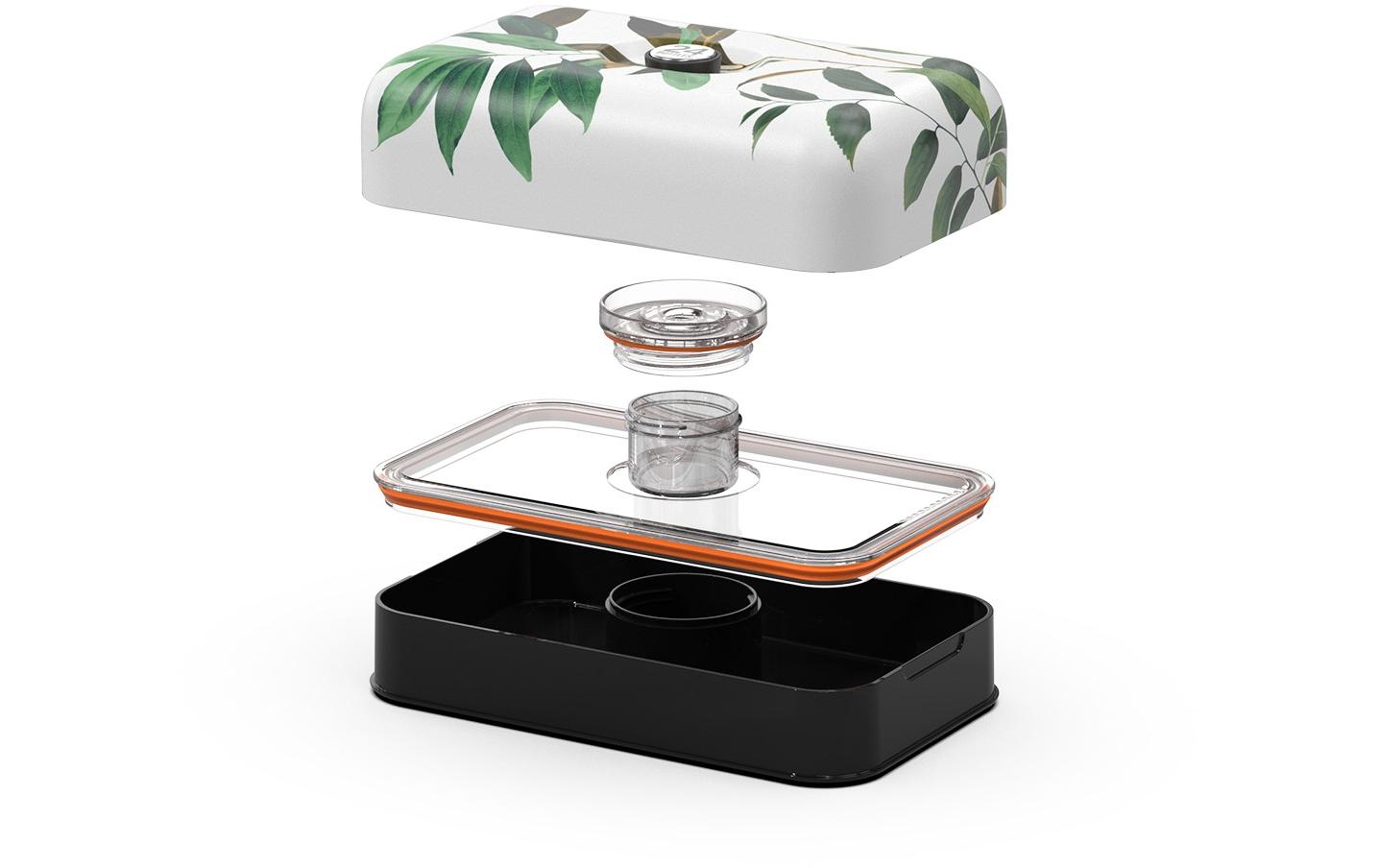 Lunchbox TivoliLunchbox mit Dressing Schale
