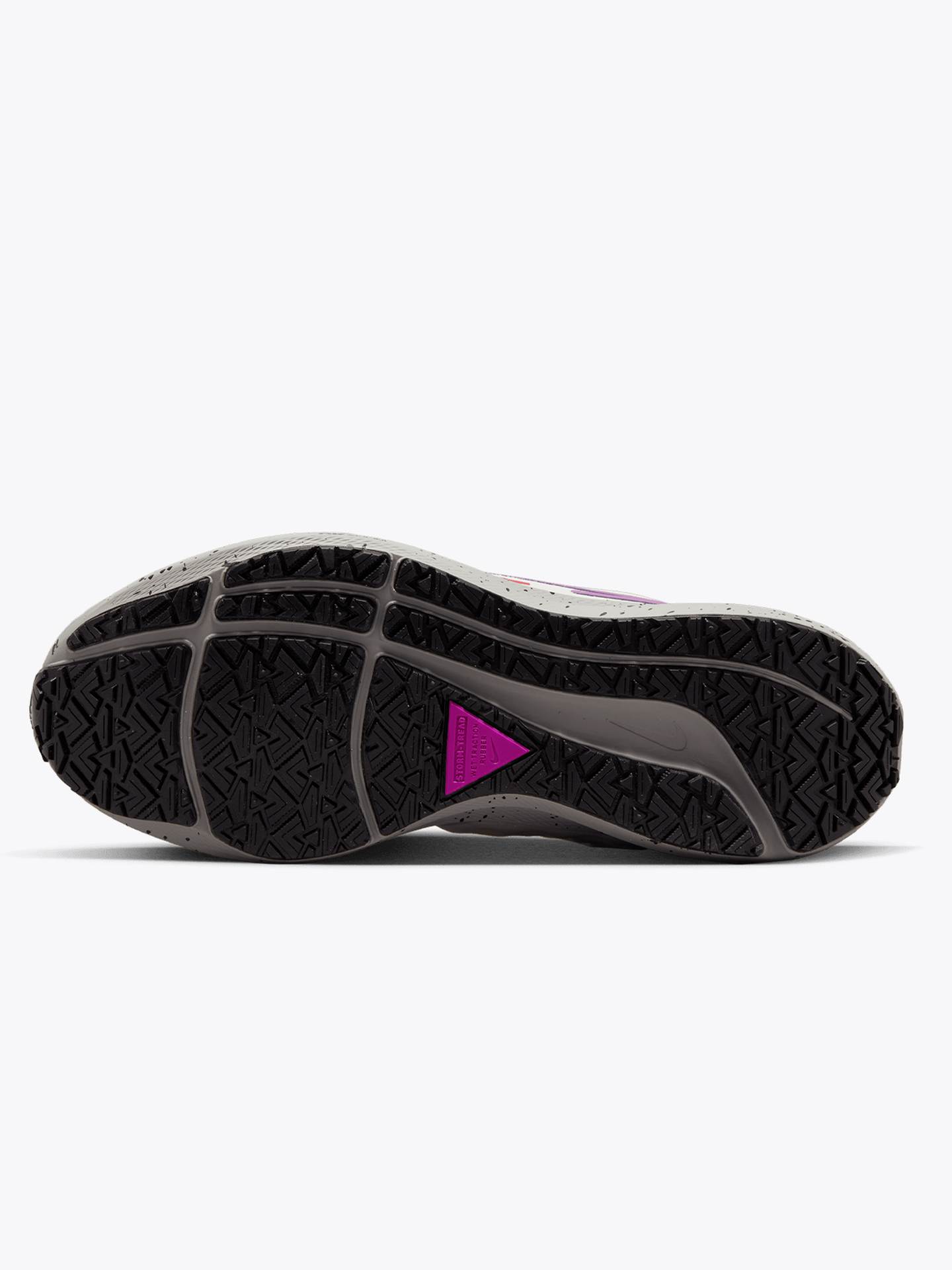 Air Zoom Pegasus 39 Shield