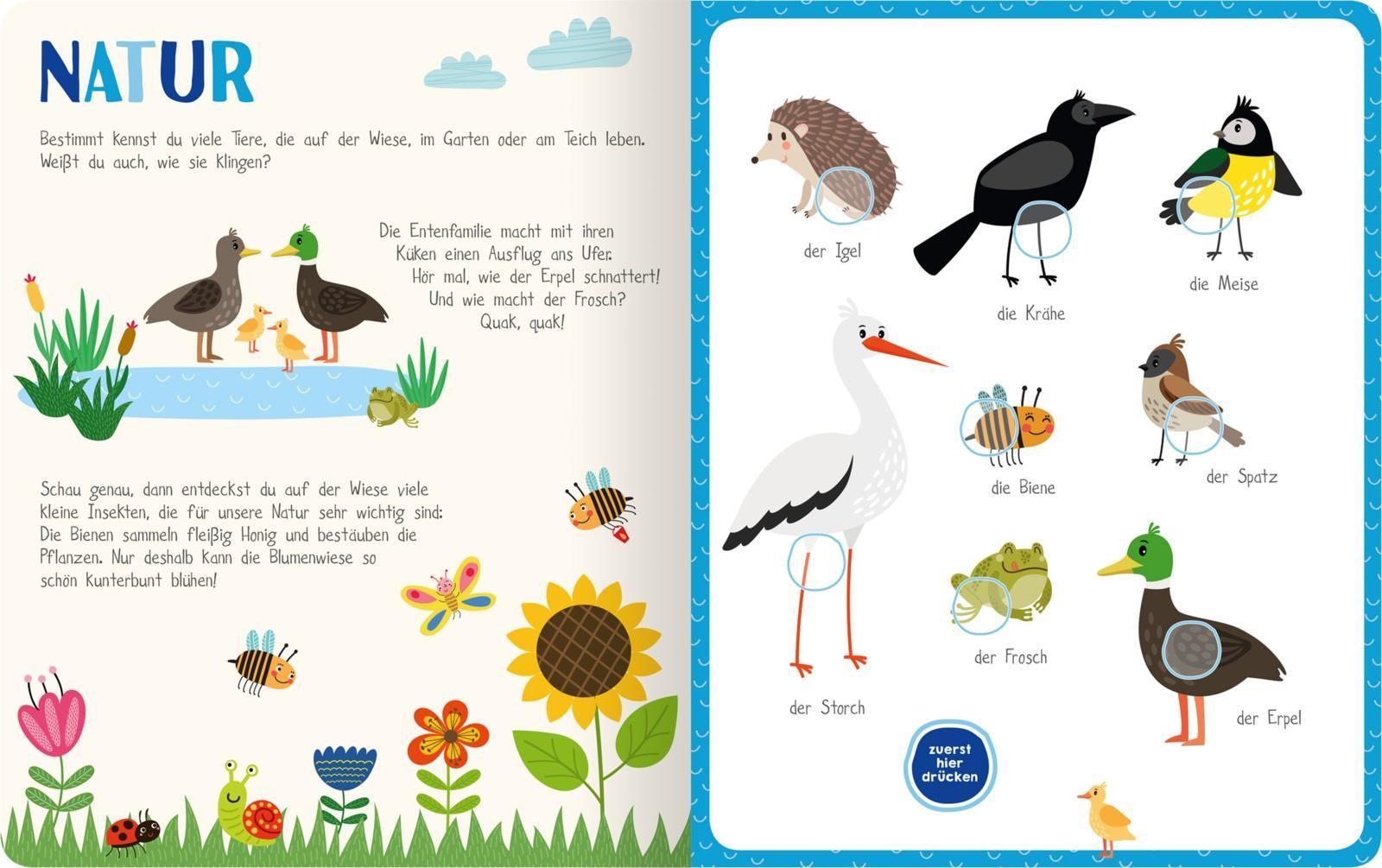 Mein kunterbuntes Soundbuch - Tiere