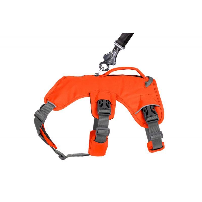Web Master Harness - Harnais pour chien